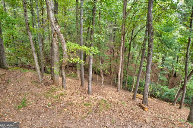 LOT 99R Ponca Court, Ellijay, GA 30540