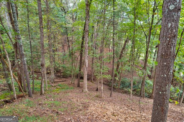 LOT 99R Ponca Court, Ellijay, GA 30540