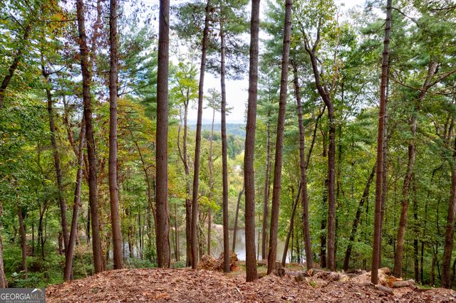 LOT 99R Ponca Court, Ellijay, GA 30540