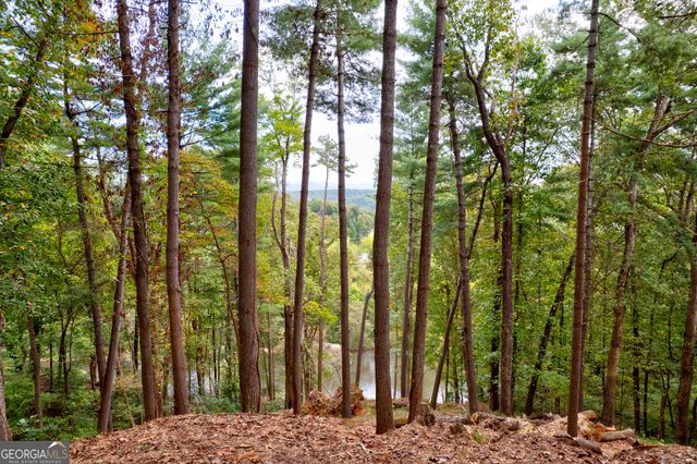 LOT 99R Ponca Court, Ellijay, GA 30540