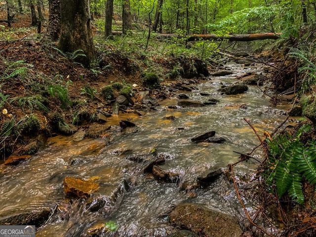LOT 99R Ponca Court, Ellijay, GA 30540