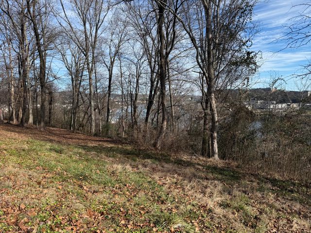 418 Dogwood Lane, Chattanooga, TN 37405