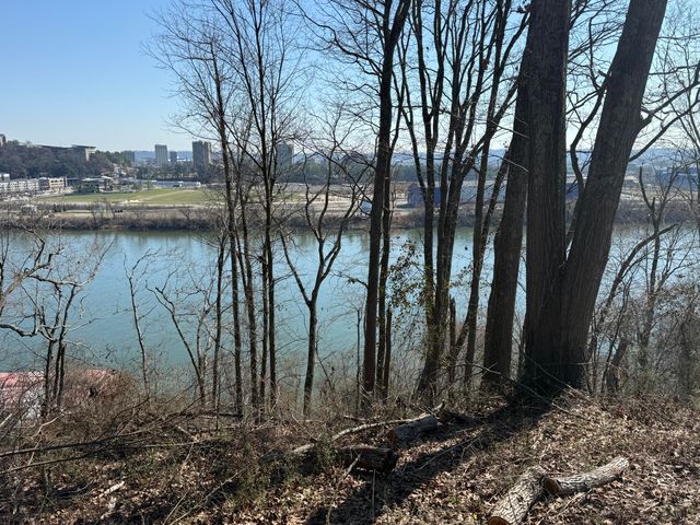 418 Dogwood Lane, Chattanooga, TN 37405