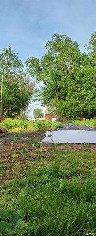 2969 Rosa Parks Boulevard, Detroit, MI 48216