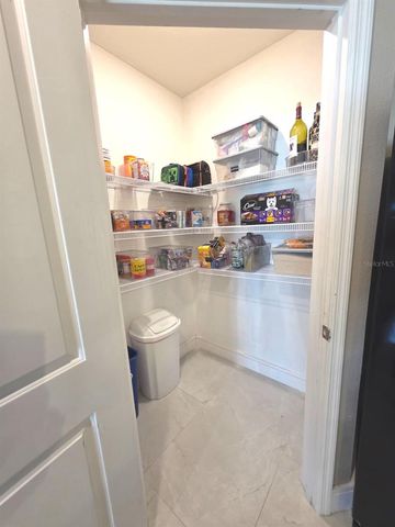 13924 SMILING DAISY PLACE, Riverview, FL 33579