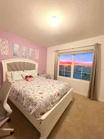 13924 SMILING DAISY PLACE, Riverview, FL 33579