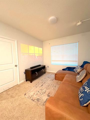 13924 SMILING DAISY PLACE, Riverview, FL 33579