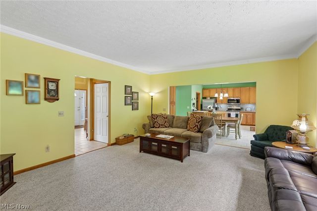 1250 Orchard Glen Drive, Amherst, OH 44001