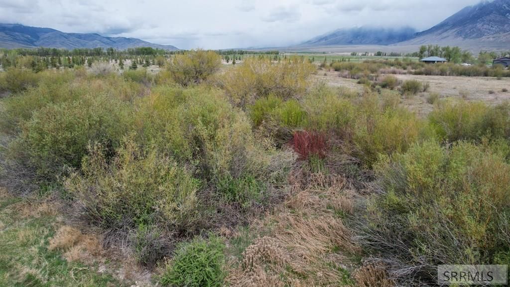Image 5 of property listing at TBD 4200 N, Mackay, ID 83251