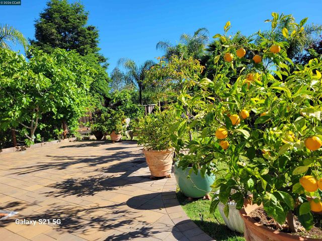 4151 Storey Lane, Concord, CA 94518