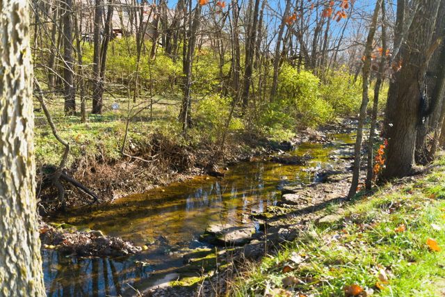 5350 S Parklane Avenue, Springfield, MO 65810