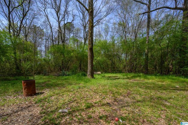 6238 WARRIOR RIVER ROAD, Bessemer, AL 35023