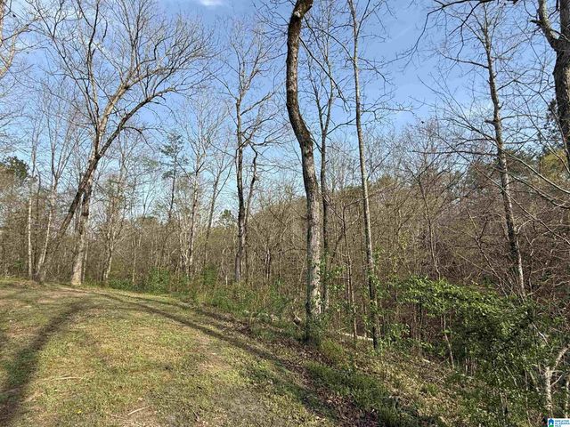 465 PANORAMIC CIRCLE, Warrior, AL 35180