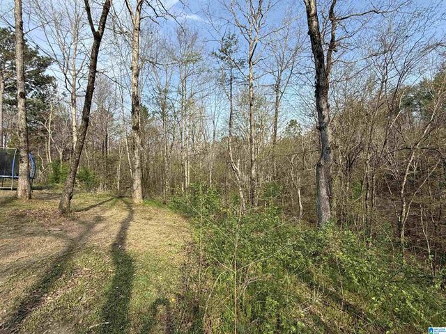 465 PANORAMIC CIRCLE, Warrior, AL 35180