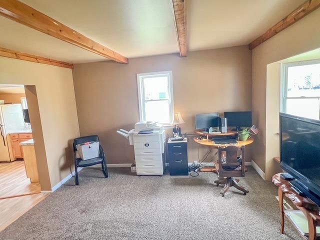 546 N Silverleaf Street, Gladwin, MI 48624