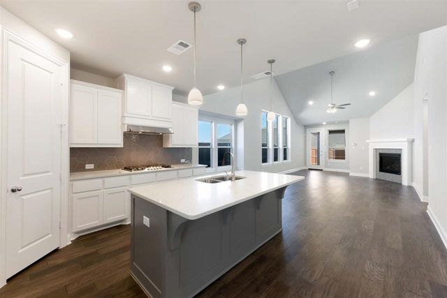 4423 Indigo Lark Lane, Arlington, TX 76005