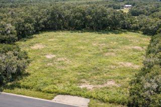 17385 LIVINGSTON AVENUE, Lutz, FL 33559