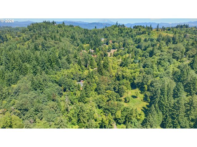 18820 Ne SUNRISE Ln, Yacolt, WA 98675