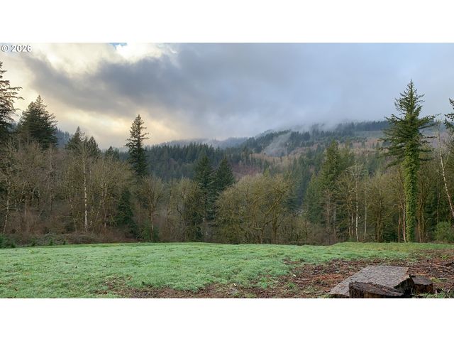 18820 Ne SUNRISE Ln, Yacolt, WA 98675