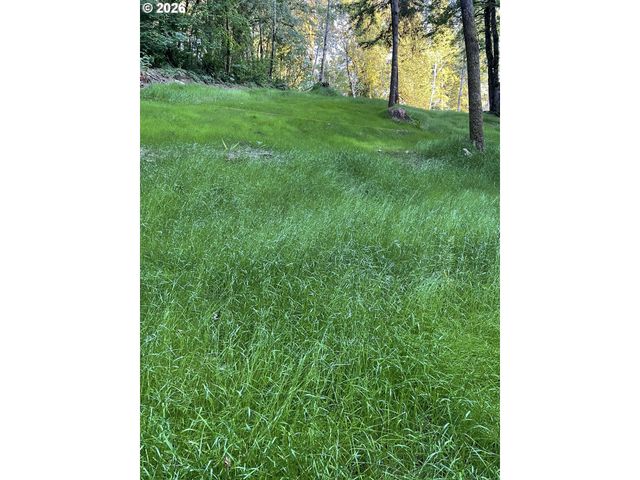 18820 Ne SUNRISE Ln, Yacolt, WA 98675