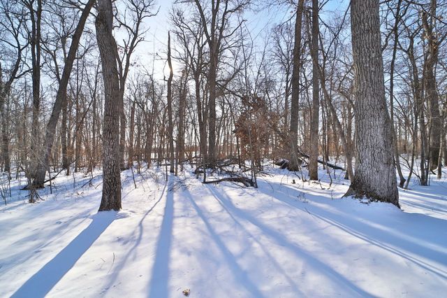 27477 Ode Circle, Browerville, MN 56438