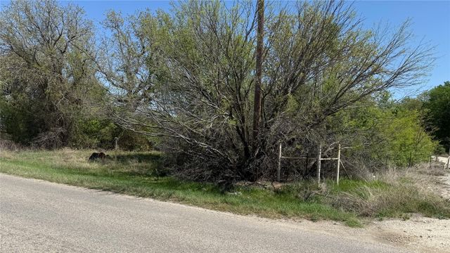 2445 Bob White Drive, Granbury, TX 76049