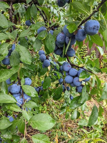 1055 Kelly Drive, Nashville, NC 27856