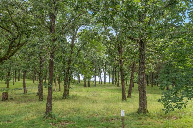 5 Treetop Drive, Kimberling City, MO 65686