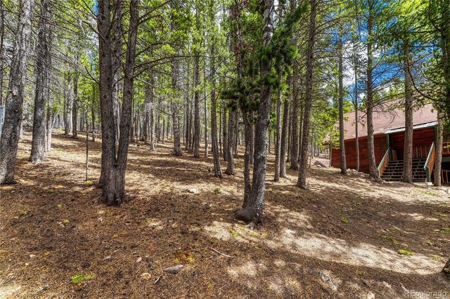 153 Nebraska Drive, Idaho Springs, CO 80452