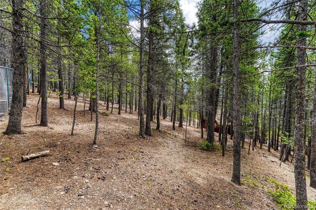 153 Nebraska Drive, Idaho Springs, CO 80452