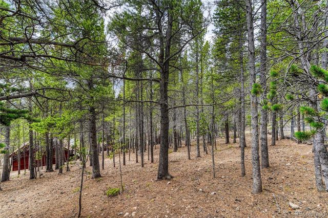 153 Nebraska Drive, Idaho Springs, CO 80452