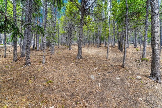 153 Nebraska Drive, Idaho Springs, CO 80452