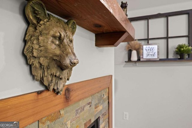 49 Baum Weg, Helen, GA 30545