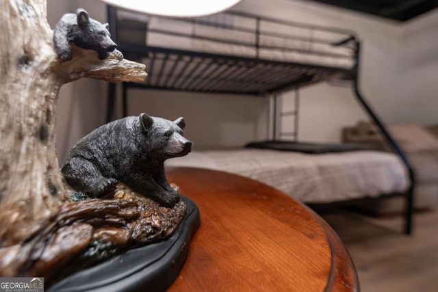 49 Baum Weg, Helen, GA 30545