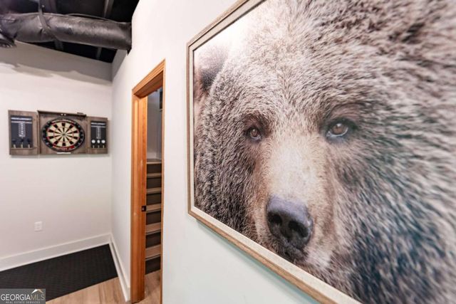 49 Baum Weg, Helen, GA 30545