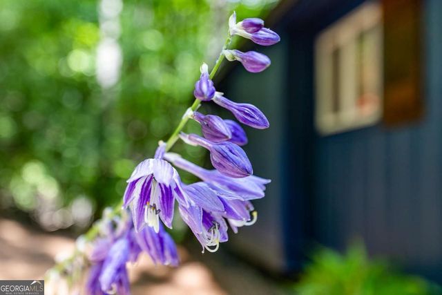 49 Baum Weg, Helen, GA 30545