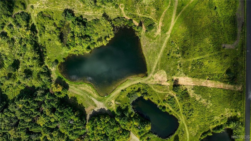 Lot #4 Phillips Road, Colden, NY 14080