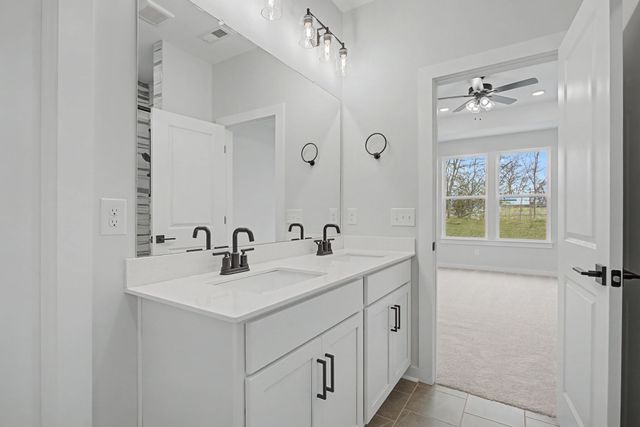 328 Black Bear Drive, Mount Pleasant, TN 38474