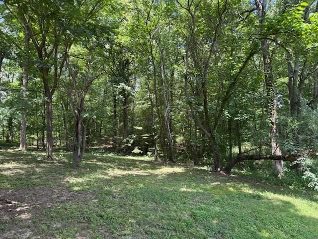 165 PITTMAN RD, Somerville, TN 38068