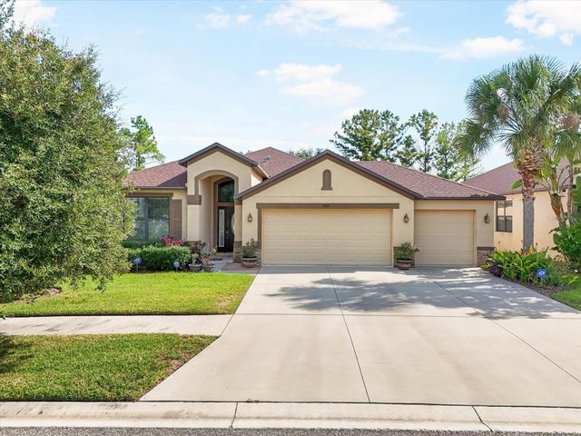 8522 WHITE POPLAR DRIVE, Riverview, FL 33578