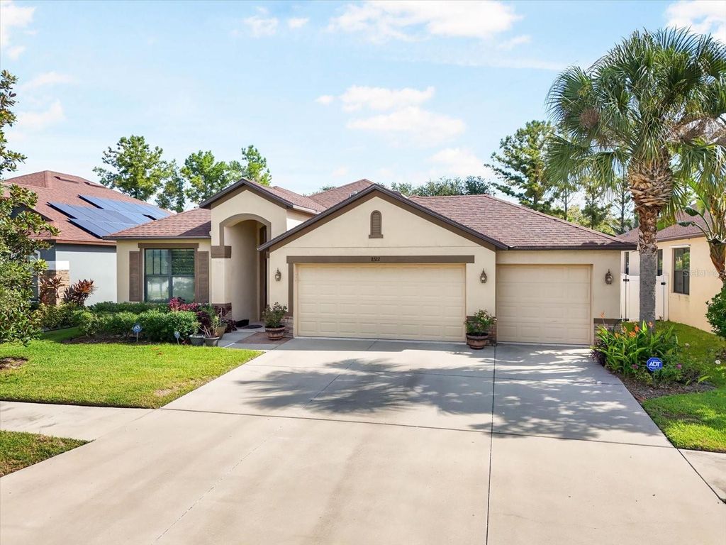8522 WHITE POPLAR DRIVE, Riverview, FL 33578