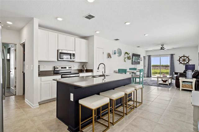 6838 WILSON HAMMOCK AVENUE, Groveland, FL 34736