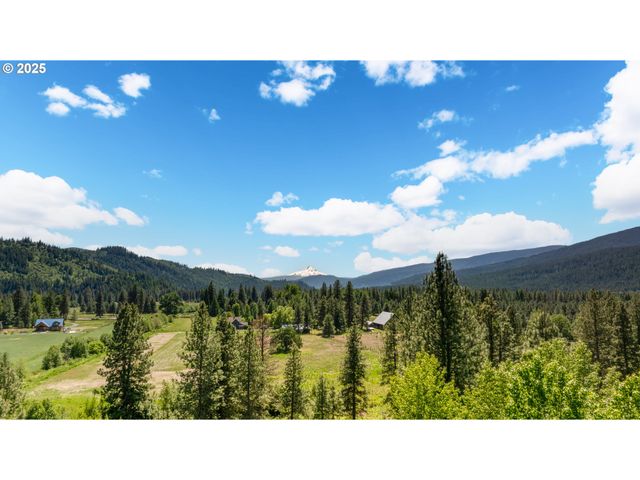 26 Mountain View Ln, Trout Lake, WA 98650