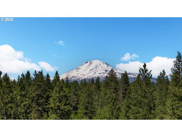 26 Mountain View Ln, Trout Lake, WA 98650