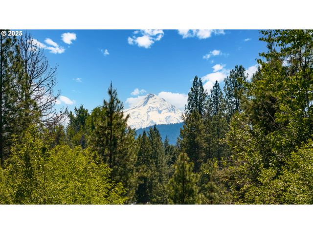 26 Mountain View Ln, Trout Lake, WA 98650
