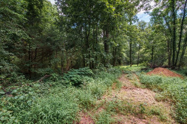 0 Marshall Rd, Belvidere, TN 37306