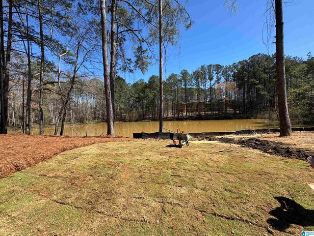 190 RIVER BIRCH ROAD, Chelsea, AL 35043