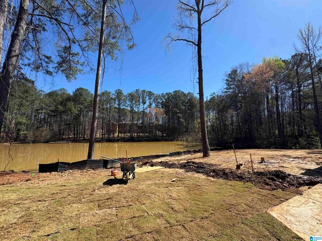 190 RIVER BIRCH ROAD, Chelsea, AL 35043