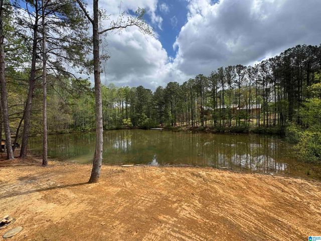 190 RIVER BIRCH ROAD, Chelsea, AL 35043
