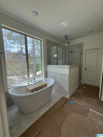 190 RIVER BIRCH ROAD, Chelsea, AL 35043